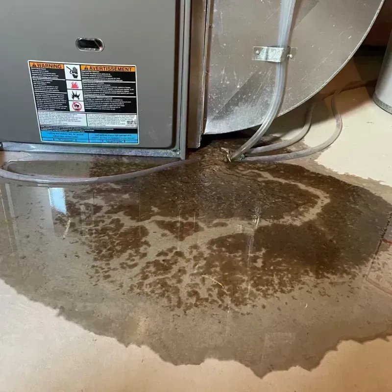 Appliance Leak Cleanup in Lakefield, MN